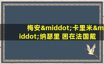 梅安·卡里米·纳瑟里 困在法国戴高乐机场18年